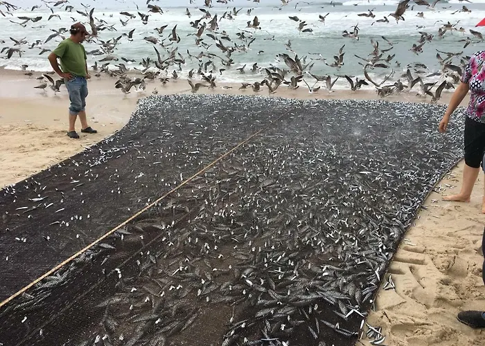 De Mira Appartement *